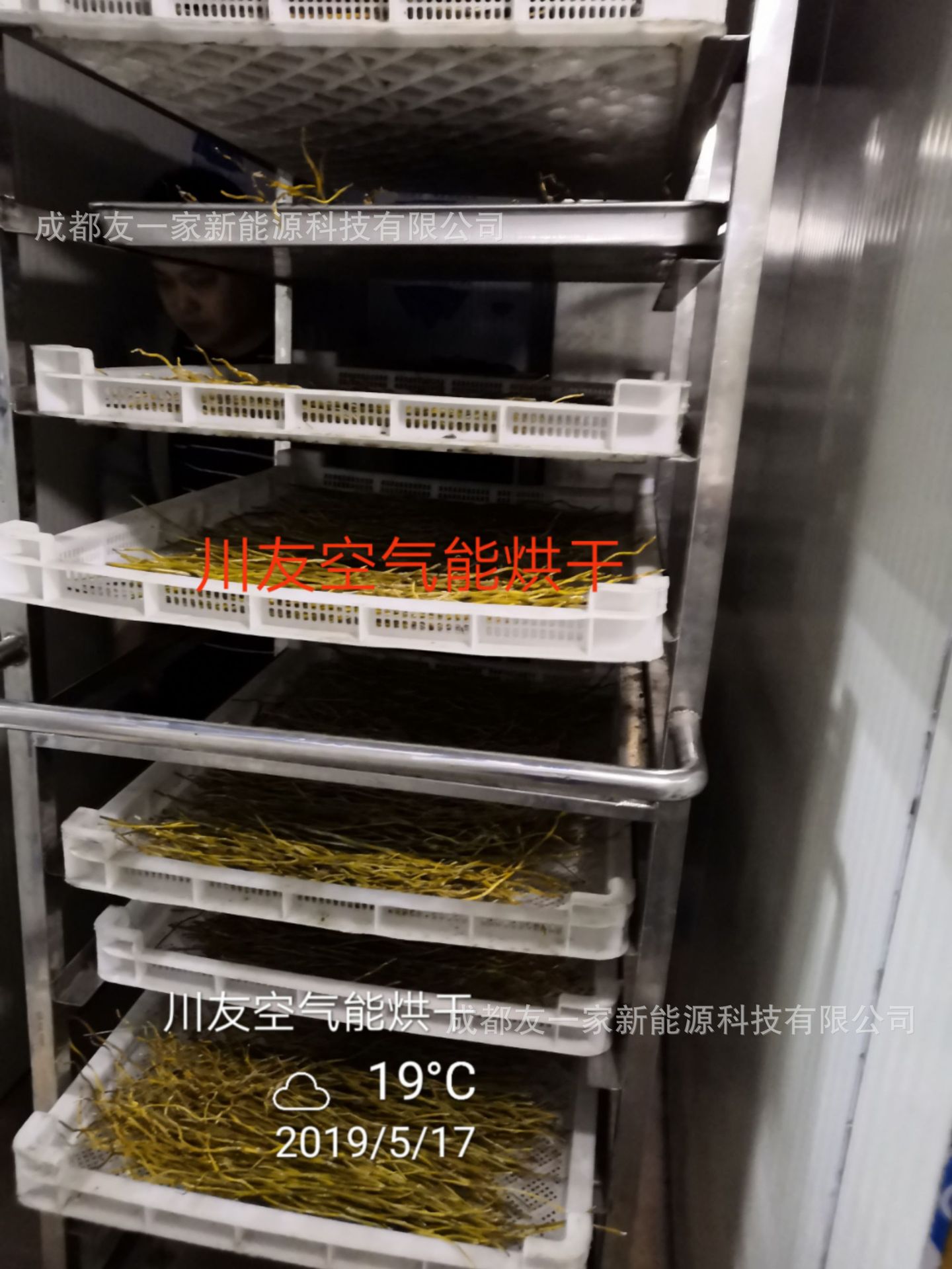 川友空气能石斛烘干设备 石斛干燥机 石斛烘干箱烘干房