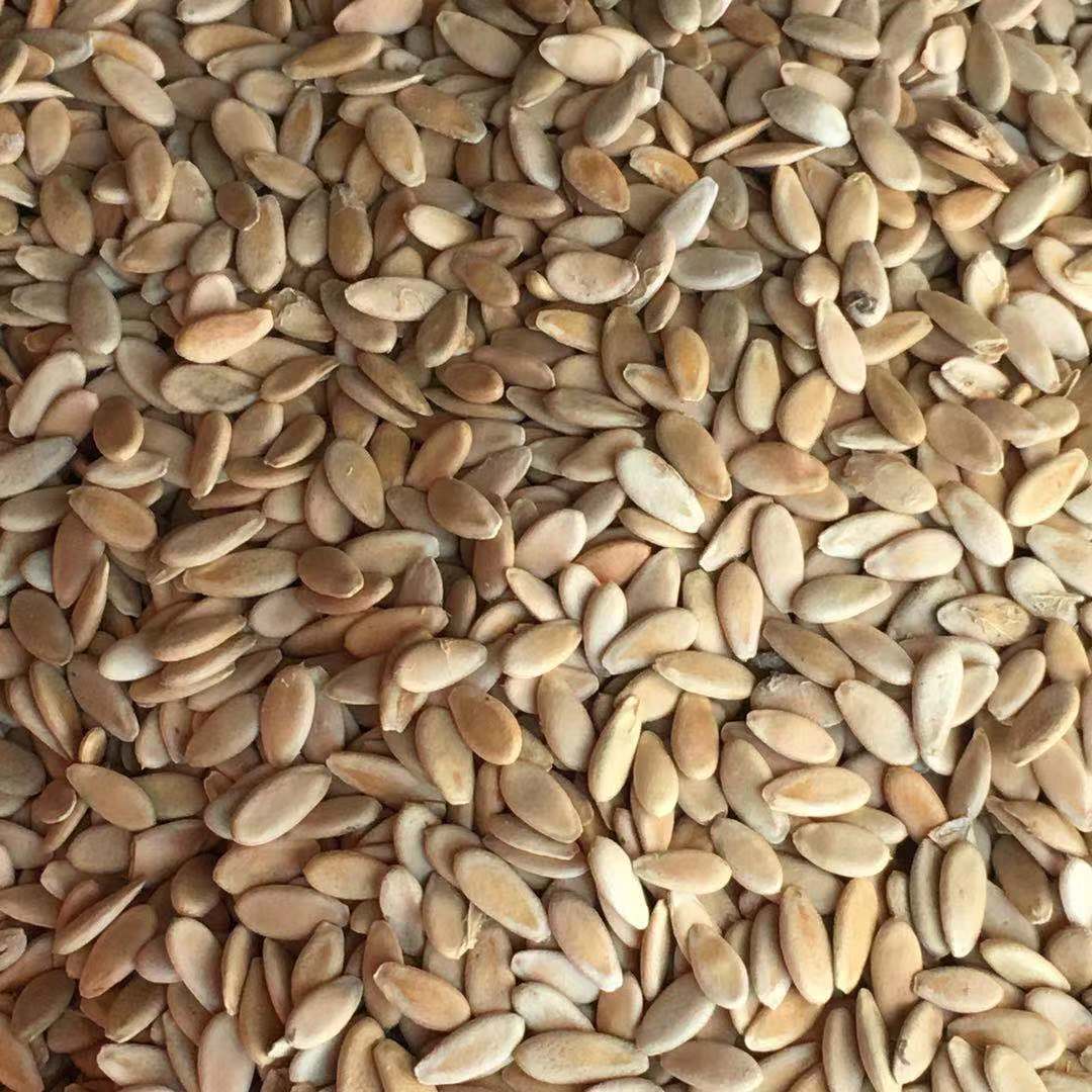 Low Temperature Roasted Muskmelon Seeds Xiang Gua Zi 500g Edible Seed Snack and Grinding Ingredient overview