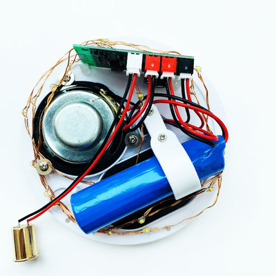 工廠批發永生花藍牙音響線路板底板底座套料音箱配件塑料蓋板組件