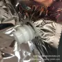 无菌货期镀铝定制盒中袋
