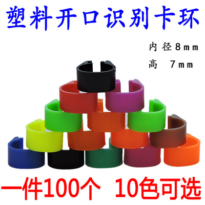 Large No word Distinguish dove Foot ring colour Snap ring Pigeon Supplies Plastic 10 Color width