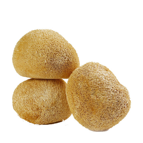 Fujian native specialty hericium dried goods carefully selected hericium new product independent package of old monkey mushroom 250g packed with more strength