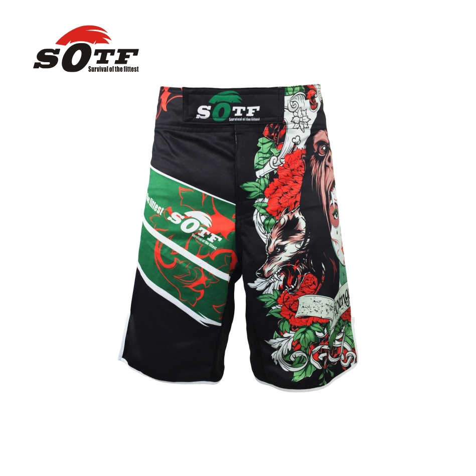 MMA Muay Thai Shorts in Action