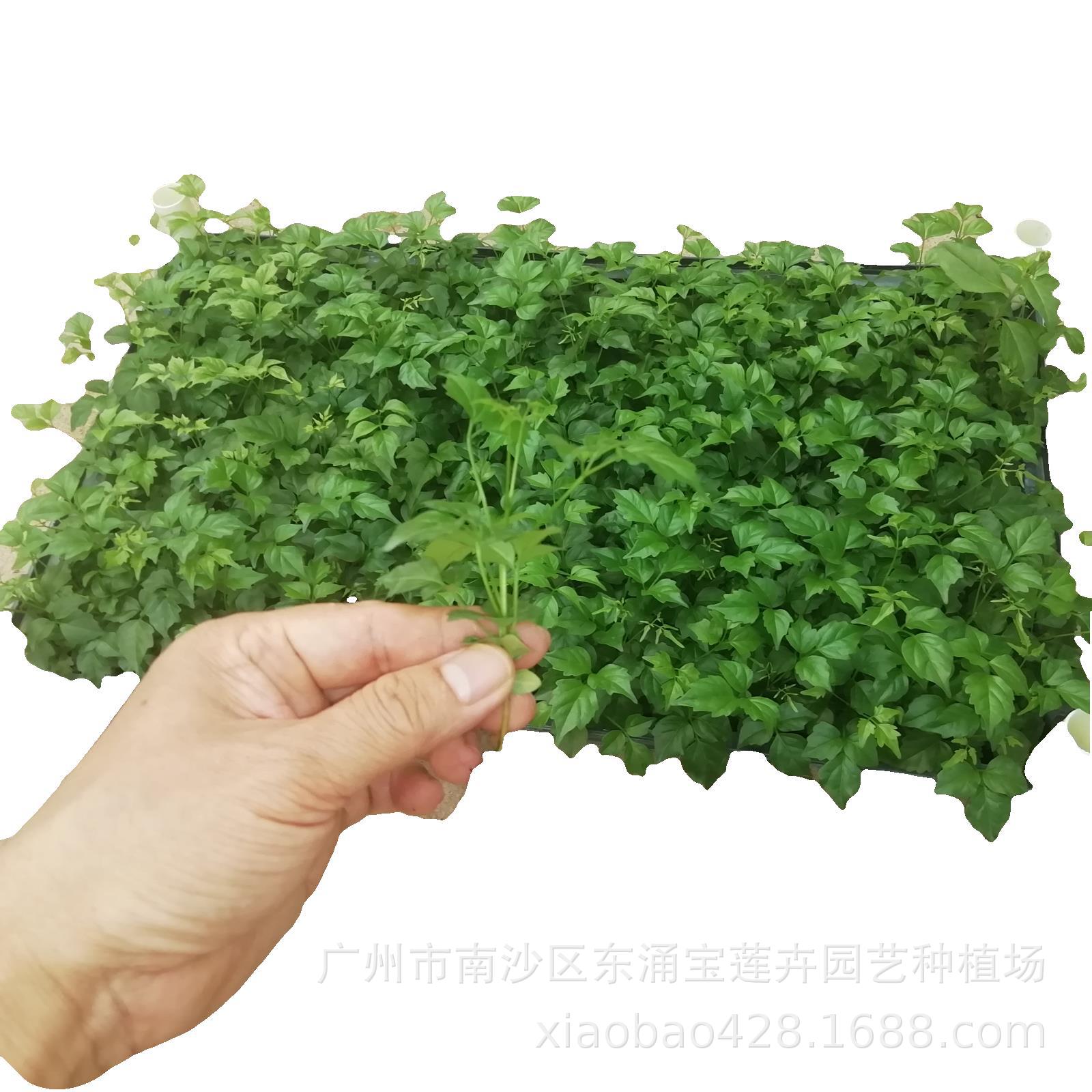 _20191014102306207128 (1)