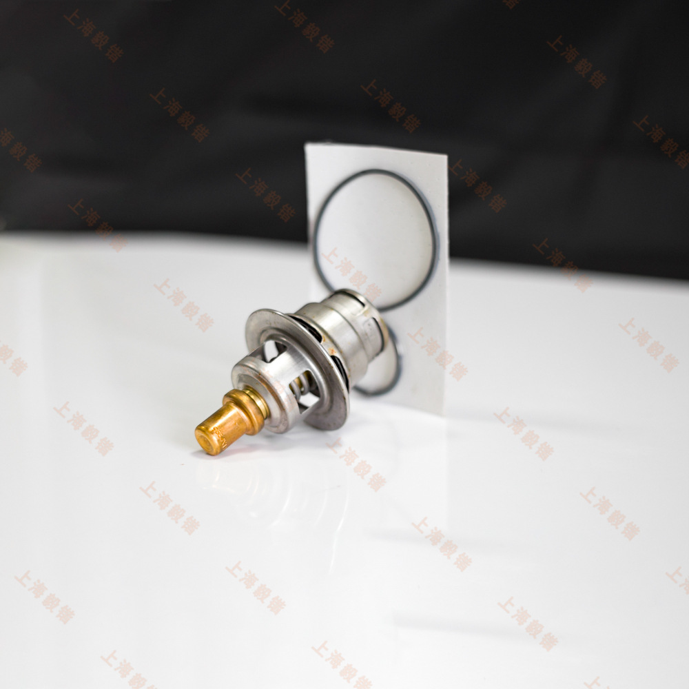 2906907701 (5)温控阀保养包4216