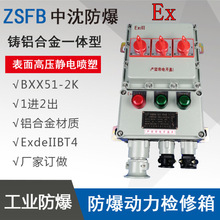 BXX51-2K防爆動力檢修箱1進2出防爆檢修箱2K防爆照明動力配電箱