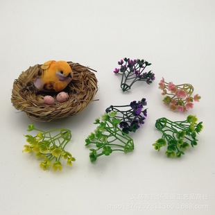 5���י�ѩ��С�� ����ֲ������ˮ�� �辰�����b�С�� ��ƺ�ذ��