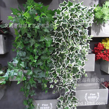 泣ٱڒGֲbع~Gɫɽc~ֲ