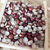 Open side Red bean Manufactor goods in stock wholesale Northeastern red bean Red bean Direct selling Bagged 25KG
