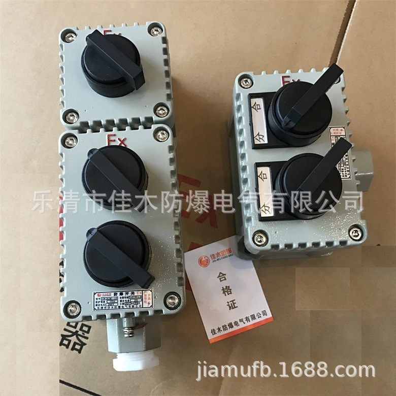 250V防爆开关单开双开三开 10A防爆照明开关IP54