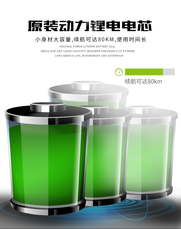 电动自行车,电动车 成人,电动车