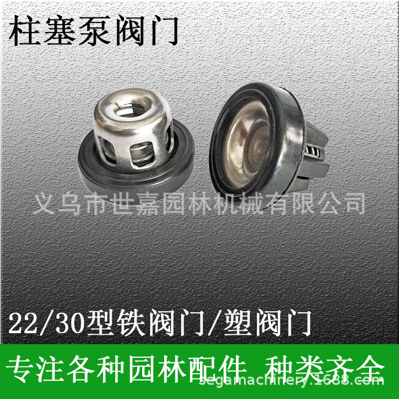 柱塞泵阀门22/30铁阀门塑阀门活门阻塑阀座