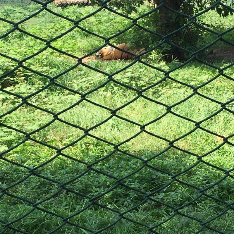 批发勾花网学校操场运动场隔离网 弹性伸缩铁丝网 隔离网