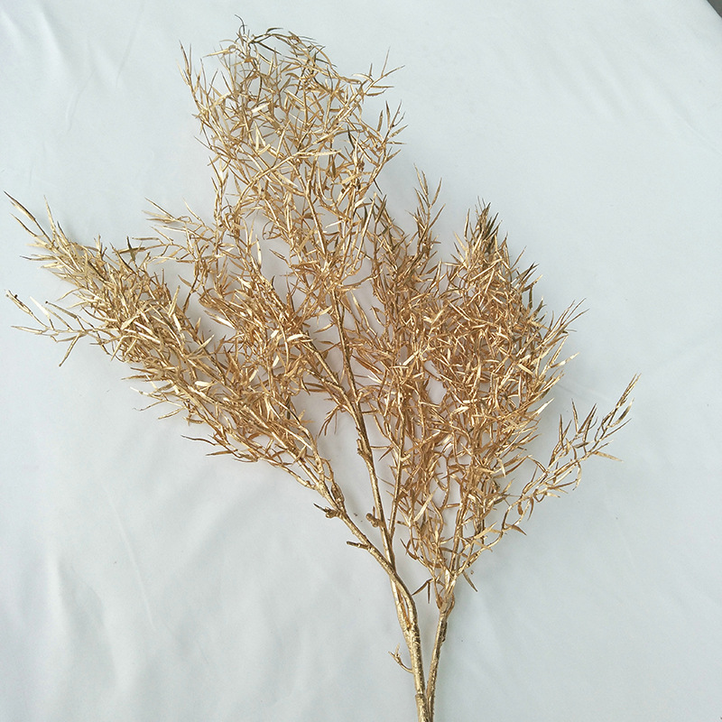 一米松针叶价格5.5