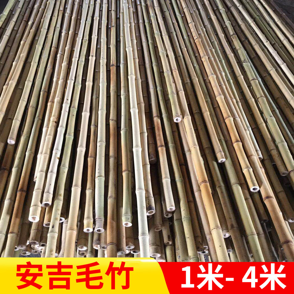 浙江安吉厂家工艺竹竿建筑装潢装饰竹竿2米环保防腐毛竹竿定制 阿里巴巴