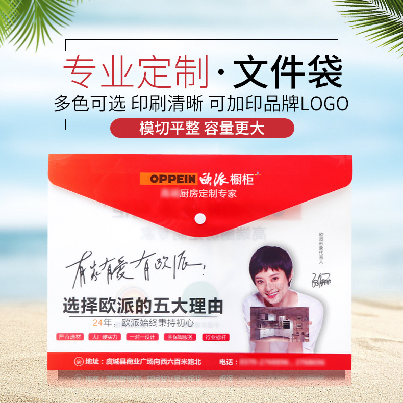 厂家定制批发 PP广告文件袋印刷LOGO 塑料档案袋按扣文件袋卡通袋