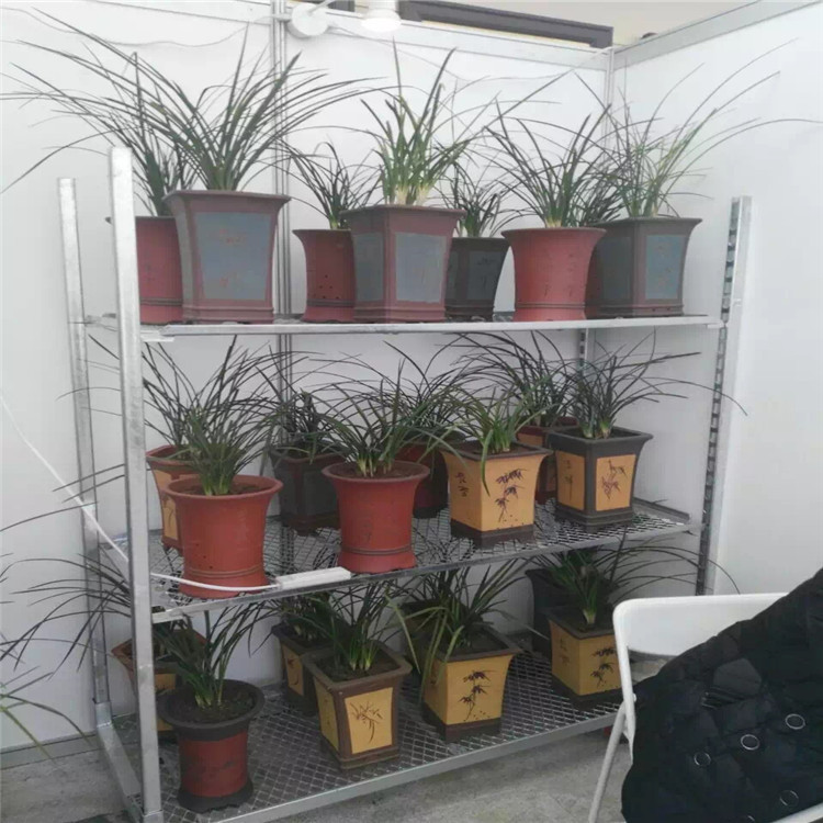 厂家育苗车花架车 穴盘车园林农场基地育苗床 手推催芽车批发花卉