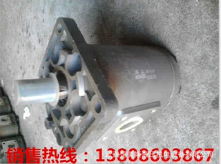 510625024