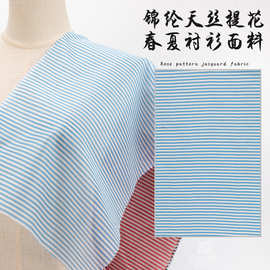 条纹提花锦纶天丝面料 横纹衬衫面料 春夏连衣裙时尚服装布料现货