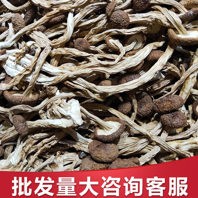 [Wholesale Customers]Qingyuan specialty dried food Chaxingu Supplier Dry mushrooms Manufactor Direct selling