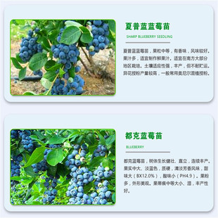 3~4���{ݮ����r�� �������� ���Ե��ԠI�B���l؛ ����Y���{ݮ��