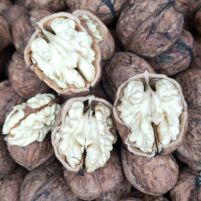 产地批发 云南新鲜湿核桃野生山核桃去青皮薄皮湿核桃现摘现发5斤|ms