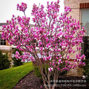 �����m����ɼtһ̖���m��޽����m����t���m�����m���ԾG����ľ