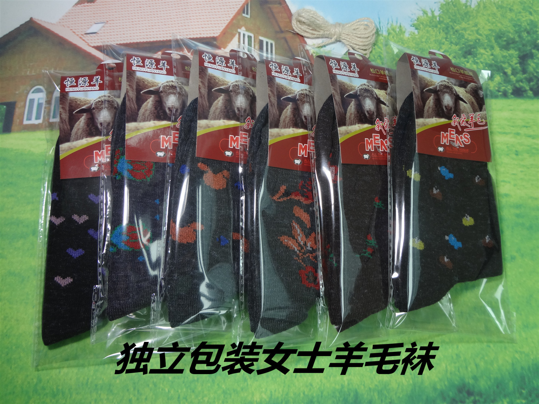 12307574355_260668545