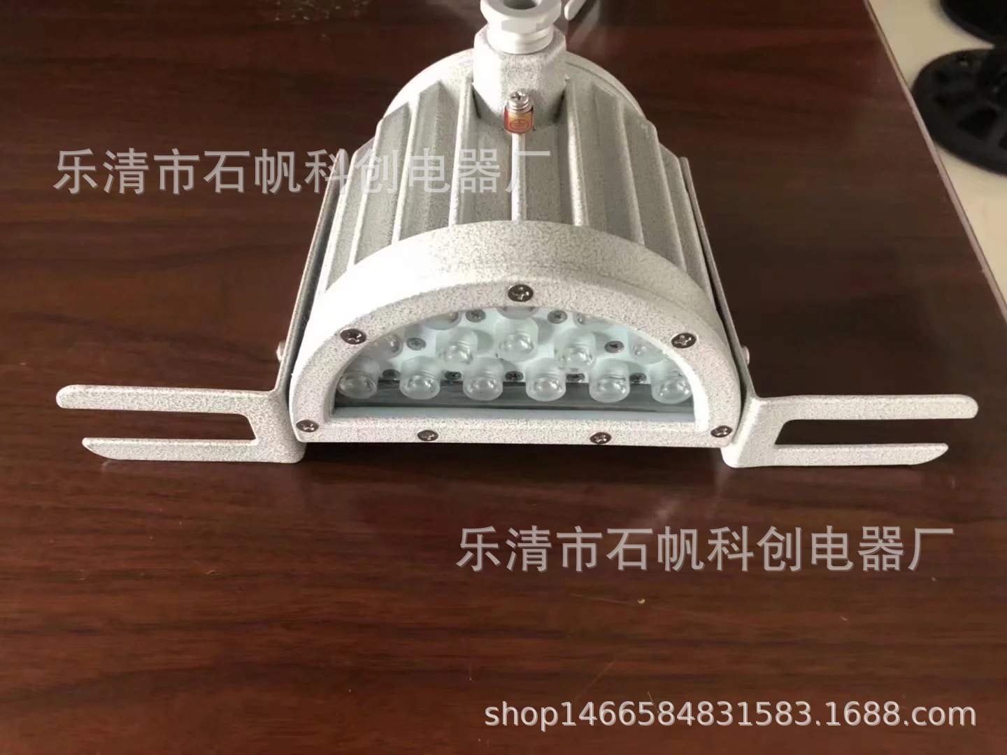 30WLED防爆视孔灯 视镜射灯 DC24V反应釜防爆灯