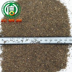 【滿】紫蘇子選貨1kg散裝產地直供蘇麻子沁信源中藥材批發