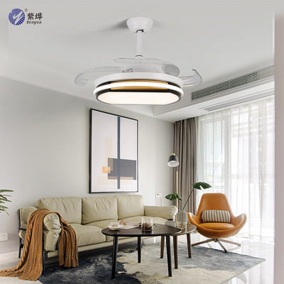 Modern simplicity Ceiling fan Fan light Reversible a living room Restaurant bedroom LED invisible remote control Timing Tricolor Northern Europe