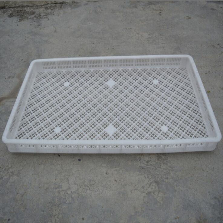 塑料单冻器 晾晒盘  大水产冷库专用冷藏冷冻盘 耐高温烘干盘
