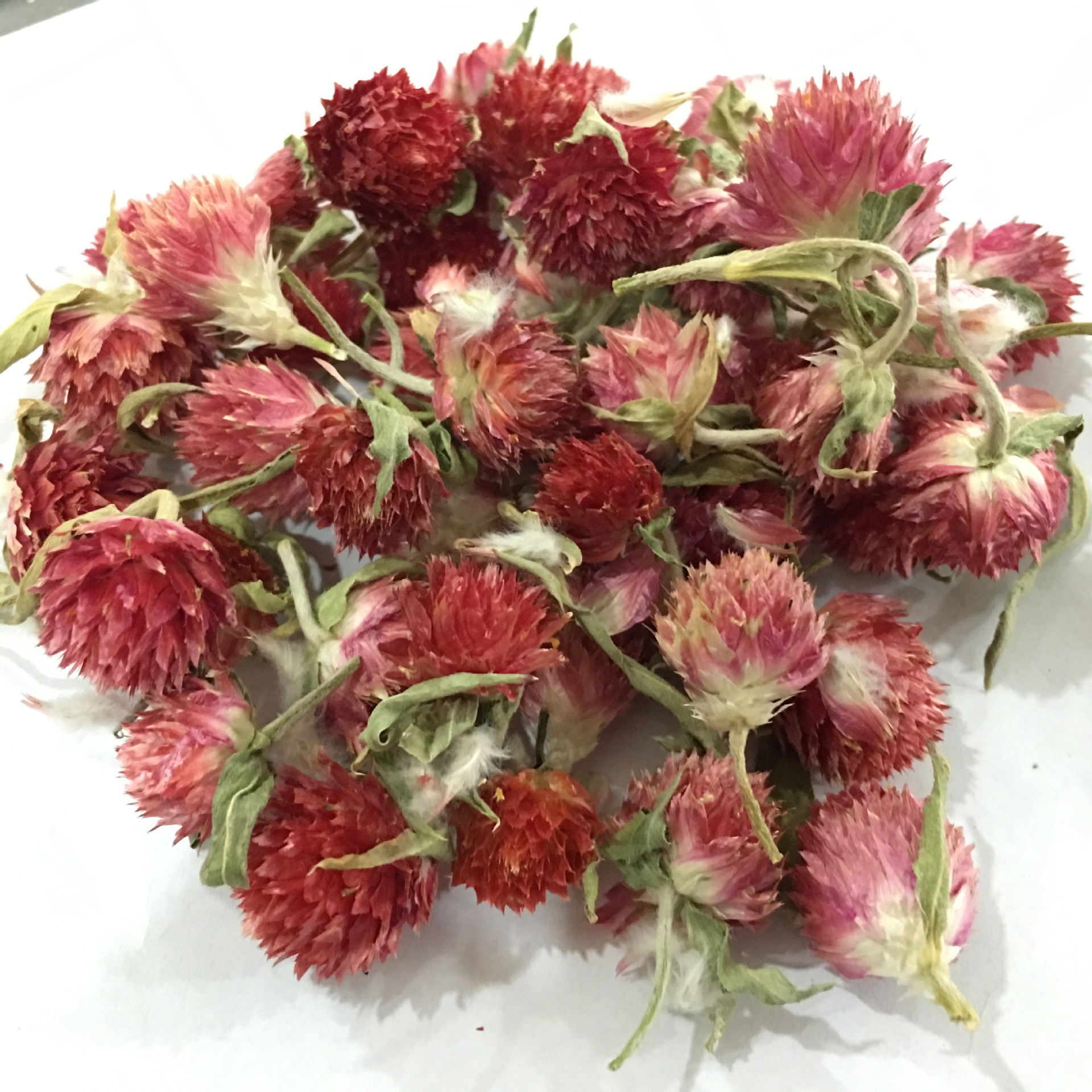 Dried Red Plum Blossom Flower Heads Hong Qiao Mei Loose Herbal Tea and Decorative Dried Flowers 500g specifications