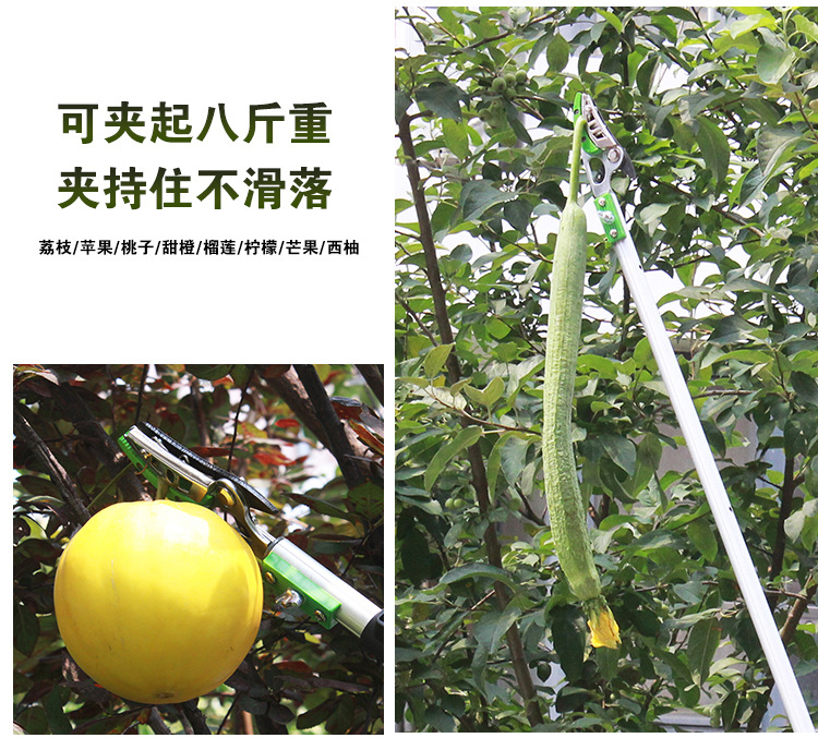 ��֦������_09