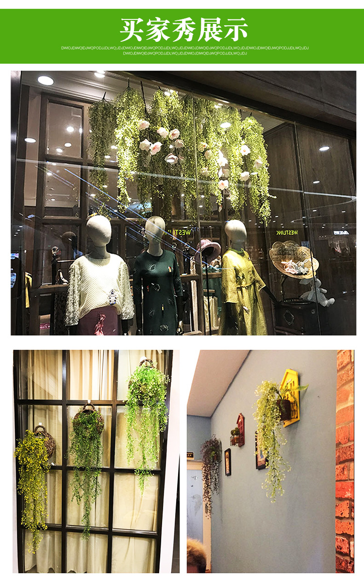 金钟柳 金钟柳壁挂