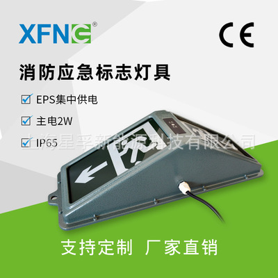 集中电源型 消防应急标志灯 压铸铝外壳 IP65 24V供电钢化玻璃