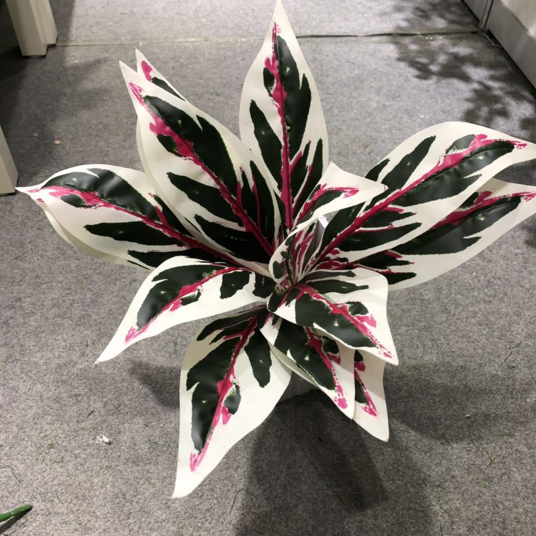 DIY artificial bird's nest fern, magnolia leaf, artificial plant wall accessories, small bonsai, green plants, hand-felt leaves, Brazilian wood detail image 15