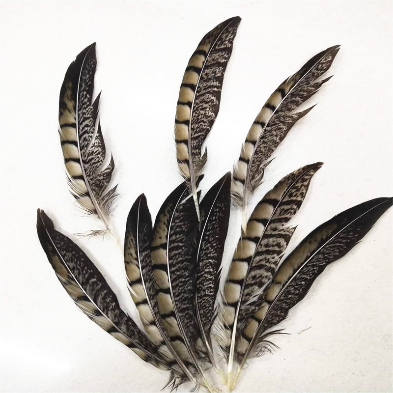 QQ图片20190411135839_副本