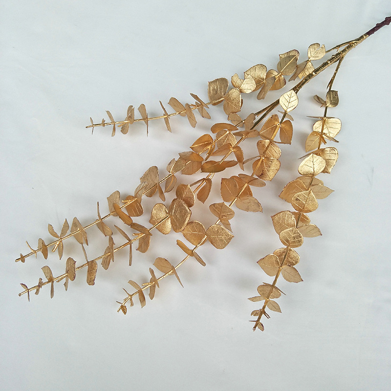 79厘米尤加利价格4.9元