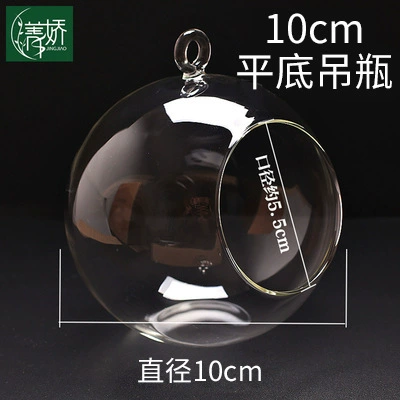 [吊瓶-直径10cm]