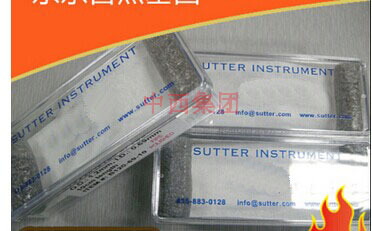 盐毛细玻璃管/有芯标准壁盐玻璃电 型号:BF100-58-10