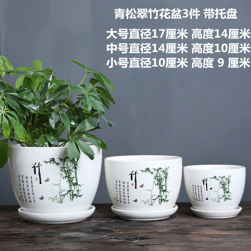 114A2974 副本_副本