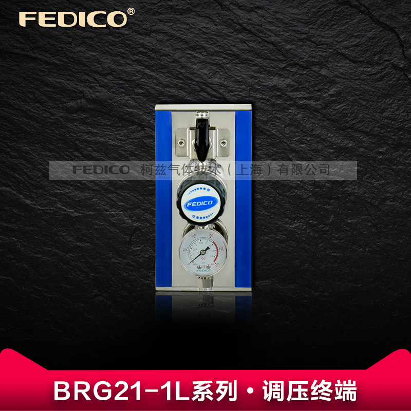 FEDICO不锈钢气体调压终端末端使用点控制减压阀门接头二级减压表