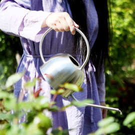 谢冰燃多肉浇花洒水壶家用201 304不锈钢浇水壶园艺壶长嘴浇水壶