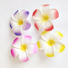 Aromatherapy, hair accessory, hairgrip, swimwear, Korean style