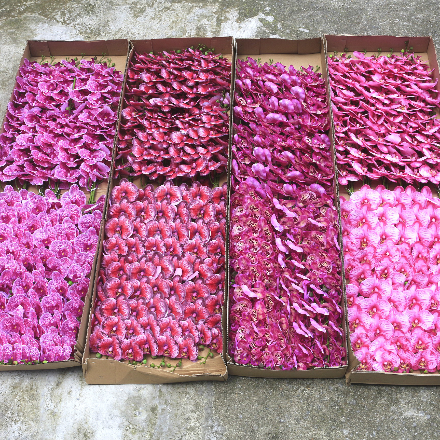 b268b526b6d96aba9d4d35713cebef