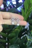 Fresh earrings, silver 925 sample, four-leaf clover