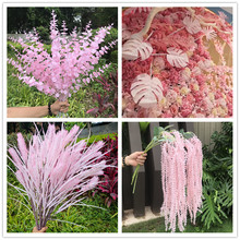 ��ɫϵ��Y�û����������c�������m�Fڡ���滨��Y������~���l