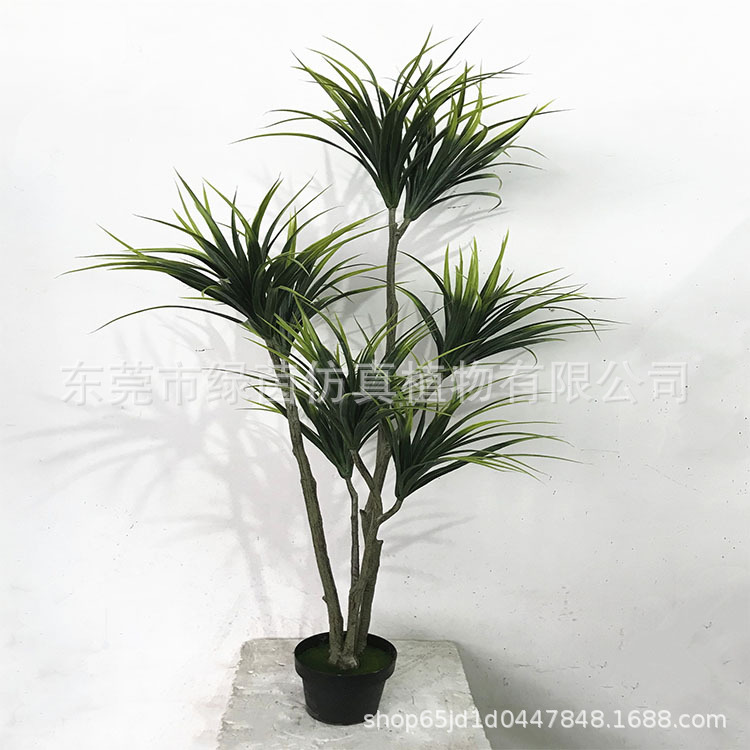 仿真植物龙须树盆景 落地景观龙须铁 造型风格龙血树 摆件山海带