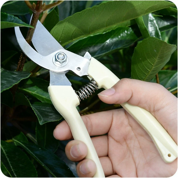 Бытовые секаторы из нержавеющей стали Ножницы для цветов и деревьев Садовое цветоводство Стрижка фруктовых деревьев Ножницы для цветов и веток Инструменты для садоводства цветов и деревьев